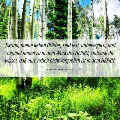 Picture 06 - 1 Korinther 15:58 LUTH1912 - Darum, meine lieben Brüder, seid fest, - Bible Verse Picture