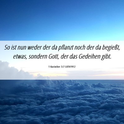 Picture 06 - 1 Korinther 3:7 LUTH1912 - So ist nun weder der da pflanzt noch der da - Bible Verse Picture