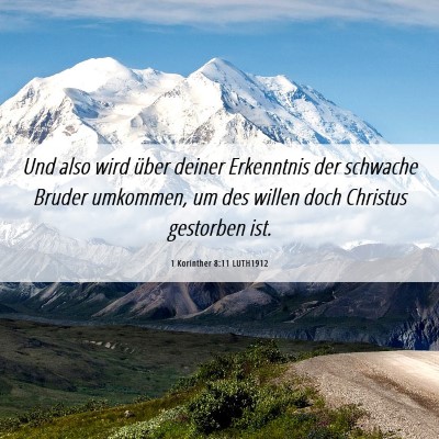Picture 06 - 1 Korinther 8:11 LUTH1912 - Und also wird über deiner Erkenntnis der - Bible Verse Picture