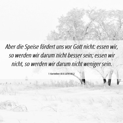 Picture 06 - 1 Korinther 8:8 LUTH1912 - Aber die Speise fördert uns vor Gott nicht: - Bible Verse Picture