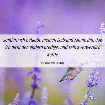 Picture 06 - 1 Korinther 9:27 LUTH1912 - sondern ich betäube meinen Leib und zähme ihn, - Bible Verse Picture