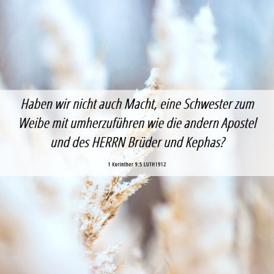 Picture 06 - 1 Korinther 9:5 LUTH1912 - Haben wir nicht auch Macht, eine Schwester zum - Bible Verse Picture