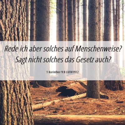 Picture 06 - 1 Korinther 9:8 LUTH1912 - Rede ich aber solches auf Menschenweise? Sagt - Bible Verse Picture