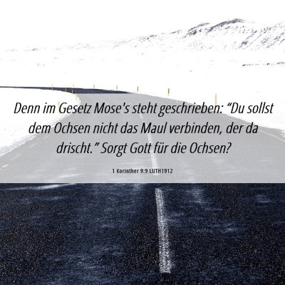 Picture 06 - 1 Korinther 9:9 LUTH1912 - Denn im Gesetz Mose's steht geschrieben: “Du - Bible Verse Picture
