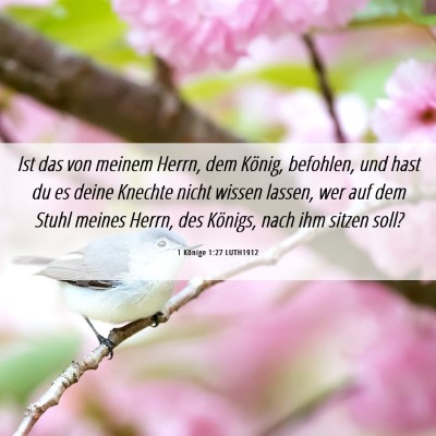 Picture 06 - 1 Könige 1:27 LUTH1912 - Ist das von meinem Herrn, dem König, befohlen, - Bible Verse Picture
