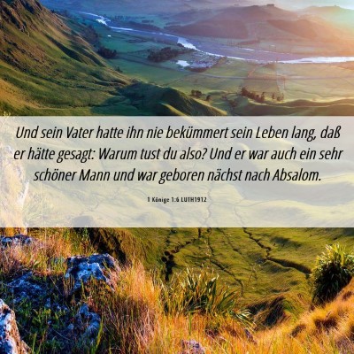Picture 06 - 1 Könige 1:6 LUTH1912 - Und sein Vater hatte ihn nie bekümmert sein - Bible Verse Picture