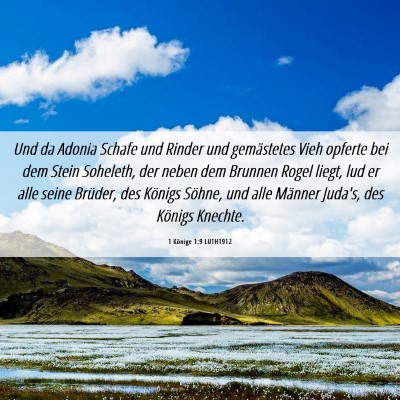 Picture 06 - 1 Könige 1:9 LUTH1912 - Und da Adonia Schafe und Rinder und gemästetes - Bible Verse Picture