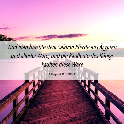 Picture 06 - 1 Könige 10:28 LUTH1912 - Und man brachte dem Salomo Pferde aus Ägypten - Bible Verse Picture