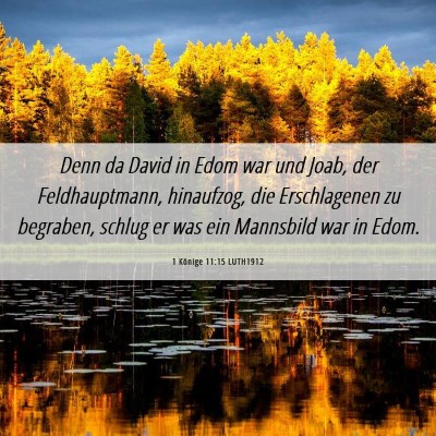Picture 06 - 1 Könige 11:15 LUTH1912 - Denn da David in Edom war und Joab, der - Bible Verse Picture