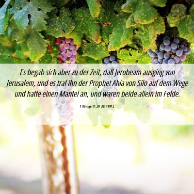 Picture 06 - 1 Könige 11:29 LUTH1912 - Es begab sich aber zu der Zeit, daß Jerobeam - Bible Verse Picture