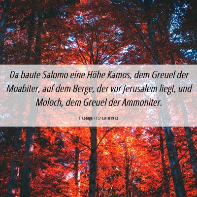 Picture 06 - 1 Könige 11:7 LUTH1912 - Da baute Salomo eine Höhe Kamos, dem Greuel der - Bible Verse Picture