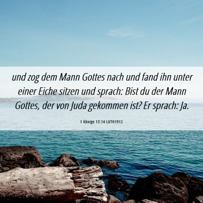 Picture 06 - 1 Könige 13:14 LUTH1912 - und zog dem Mann Gottes nach und fand ihn unter - Bible Verse Picture
