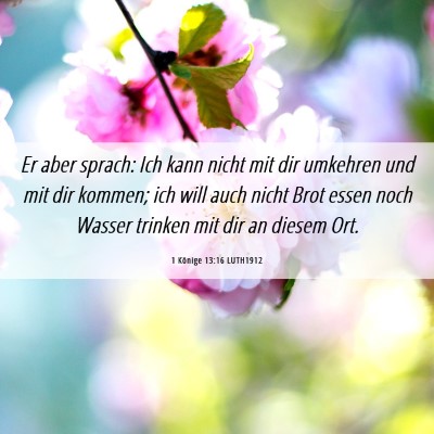 Picture 06 - 1 Könige 13:16 LUTH1912 - Er aber sprach: Ich kann nicht mit dir umkehren - Bible Verse Picture