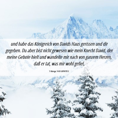 Picture 06 - 1 Könige 14:8 LUTH1912 - und habe das Königreich von Davids Haus gerissen - Bible Verse Picture