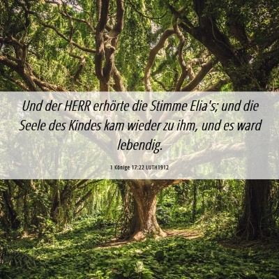 Picture 06 - 1 Könige 17:22 LUTH1912 - Und der HERR erhörte die Stimme Elia's; und die - Bible Verse Picture