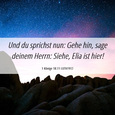 Picture 06 - 1 Könige 18:11 LUTH1912 - Und du sprichst nun: Gehe hin, sage deinem Herrn: - Bible Verse Picture