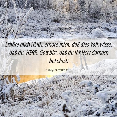 Picture 06 - 1 Könige 18:37 LUTH1912 - Erhöre mich HERR, erhöre mich, daß dies Volk - Bible Verse Picture