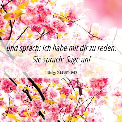 Picture 06 - 1 Könige 2:14 LUTH1912 - und sprach: Ich habe mit dir zu reden. Sie - Bible Verse Picture