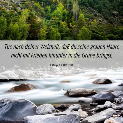 Picture 06 - 1 Könige 2:6 LUTH1912 - Tue nach deiner Weisheit, daß du seine grauen - Bible Verse Picture