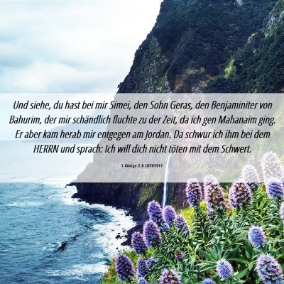 Picture 06 - 1 Könige 2:8 LUTH1912 - Und siehe, du hast bei mir Simei, den Sohn Geras, - Bible Verse Picture