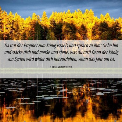 Picture 06 - 1 Könige 20:22 LUTH1912 - Da trat der Prophet zum König Israels und sprach - Bible Verse Picture