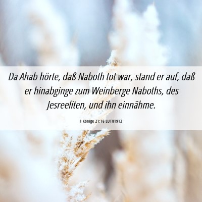 Picture 06 - 1 Könige 21:16 LUTH1912 - Da Ahab hörte, daß Naboth tot war, stand er - Bible Verse Picture