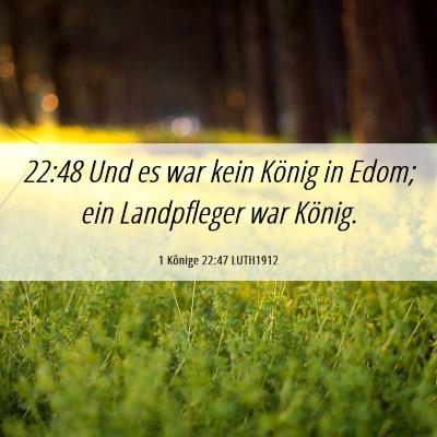 Picture 06 - 1 Könige 22:47 LUTH1912 - 22:48 Und es war kein König in Edom; ein - Bible Verse Picture