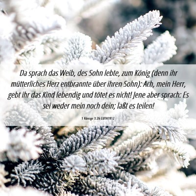 Picture 06 - 1 Könige 3:26 LUTH1912 - Da sprach das Weib, des Sohn lebte, zum König - Bible Verse Picture