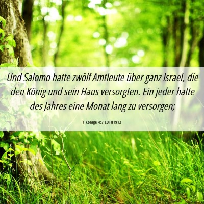 Picture 06 - 1 Könige 4:7 LUTH1912 - Und Salomo hatte zwölf Amtleute über ganz - Bible Verse Picture