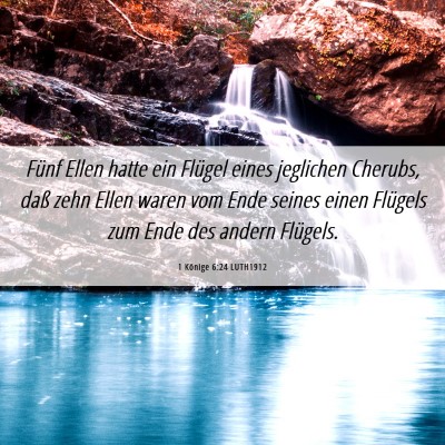 Picture 06 - 1 Könige 6:24 LUTH1912 - Fünf Ellen hatte ein Flügel eines jeglichen - Bible Verse Picture