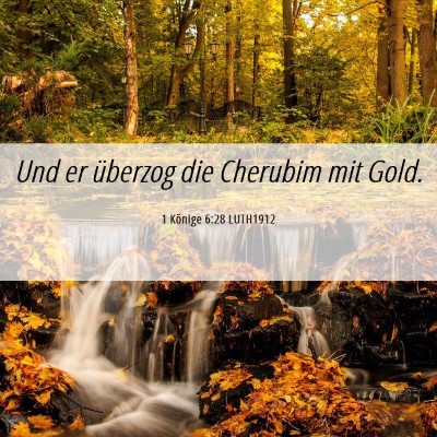 Picture 06 - 1 Könige 6:28 LUTH1912 - Und er überzog die Cherubim mit - Bible Verse Picture