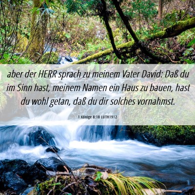 Picture 06 - 1 Könige 8:18 LUTH1912 - aber der HERR sprach zu meinem Vater David: Daß - Bible Verse Picture