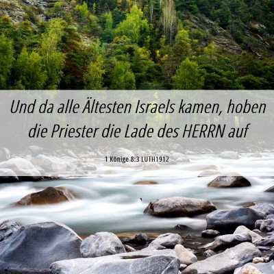 Picture 06 - 1 Könige 8:3 LUTH1912 - Und da alle Ältesten Israels kamen, hoben die - Bible Verse Picture