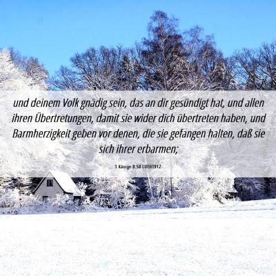 Picture 06 - 1 Könige 8:50 LUTH1912 - und deinem Volk gnädig sein, das an dir - Bible Verse Picture