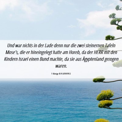 Picture 06 - 1 Könige 8:9 LUTH1912 - Und war nichts in der Lade denn nur die zwei - Bible Verse Picture
