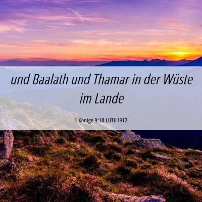 Picture 06 - 1 Könige 9:18 LUTH1912 - und Baalath und Thamar in der Wüste im - Bible Verse Picture