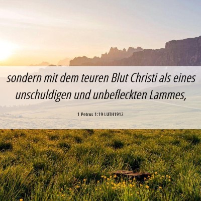 Picture 06 - 1 Petrus 1:19 LUTH1912 - sondern mit dem teuren Blut Christi als eines - Bible Verse Picture