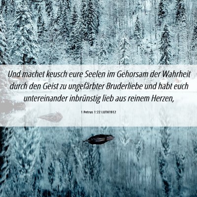 Picture 06 - 1 Petrus 1:22 LUTH1912 - Und machet keusch eure Seelen im Gehorsam der - Bible Verse Picture