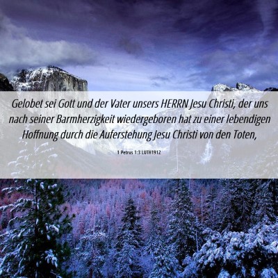 Picture 06 - 1 Petrus 1:3 LUTH1912 - Gelobet sei Gott und der Vater unsers HERRN Jesu - Bible Verse Picture