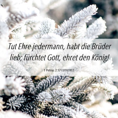Picture 06 - 1 Petrus 2:17 LUTH1912 - Tut Ehre jedermann, habt die Brüder lieb; - Bible Verse Picture