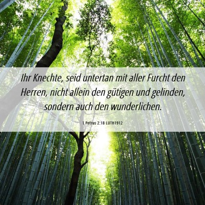 Picture 06 - 1 Petrus 2:18 LUTH1912 - Ihr Knechte, seid untertan mit aller Furcht den - Bible Verse Picture