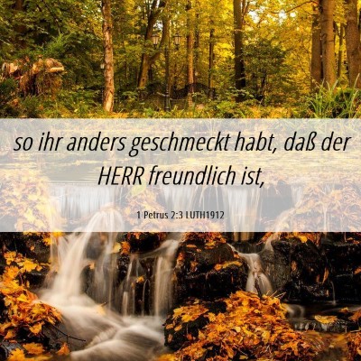 Picture 06 - 1 Petrus 2:3 LUTH1912 - so ihr anders geschmeckt habt, daß der HERR - Bible Verse Picture