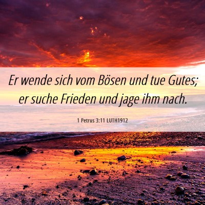 Picture 06 - 1 Petrus 3:11 LUTH1912 - Er wende sich vom Bösen und tue Gutes; er suche - Bible Verse Picture