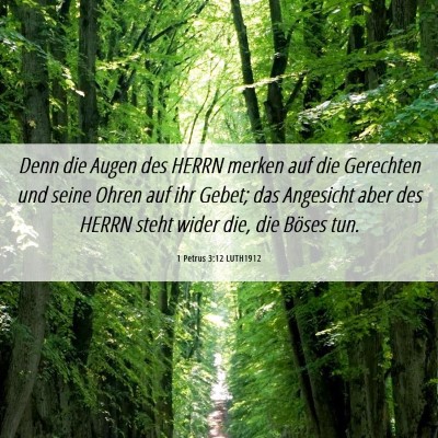 Picture 06 - 1 Petrus 3:12 LUTH1912 - Denn die Augen des HERRN merken auf die Gerechten - Bible Verse Picture