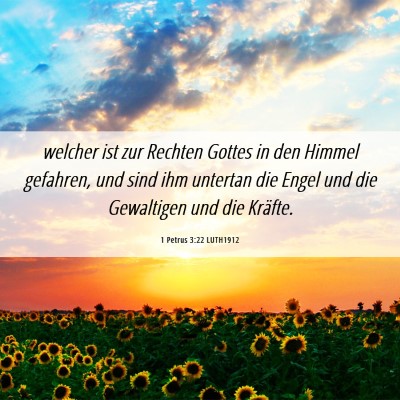 Picture 06 - 1 Petrus 3:22 LUTH1912 - welcher ist zur Rechten Gottes in den Himmel - Bible Verse Picture