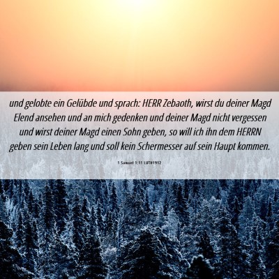 Picture 06 - 1 Samuel 1:11 LUTH1912 - und gelobte ein Gelübde und sprach: HERR - Bible Verse Picture
