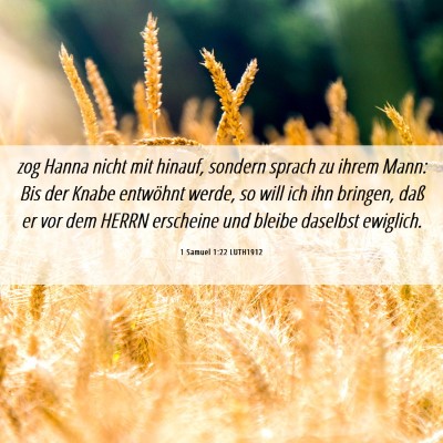 Picture 06 - 1 Samuel 1:22 LUTH1912 - zog Hanna nicht mit hinauf, sondern sprach zu - Bible Verse Picture