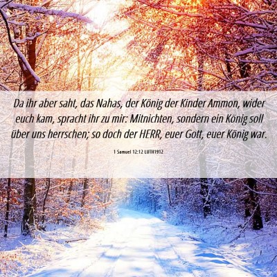 Picture 06 - 1 Samuel 12:12 LUTH1912 - Da ihr aber saht, das Nahas, der König der - Bible Verse Picture
