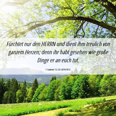 Picture 06 - 1 Samuel 12:24 LUTH1912 - Fürchtet nur den HERRN und dient ihm treulich - Bible Verse Picture