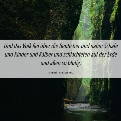Picture 06 - 1 Samuel 14:32 LUTH1912 - Und das Volk fiel über die Beute her und nahm - Bible Verse Picture